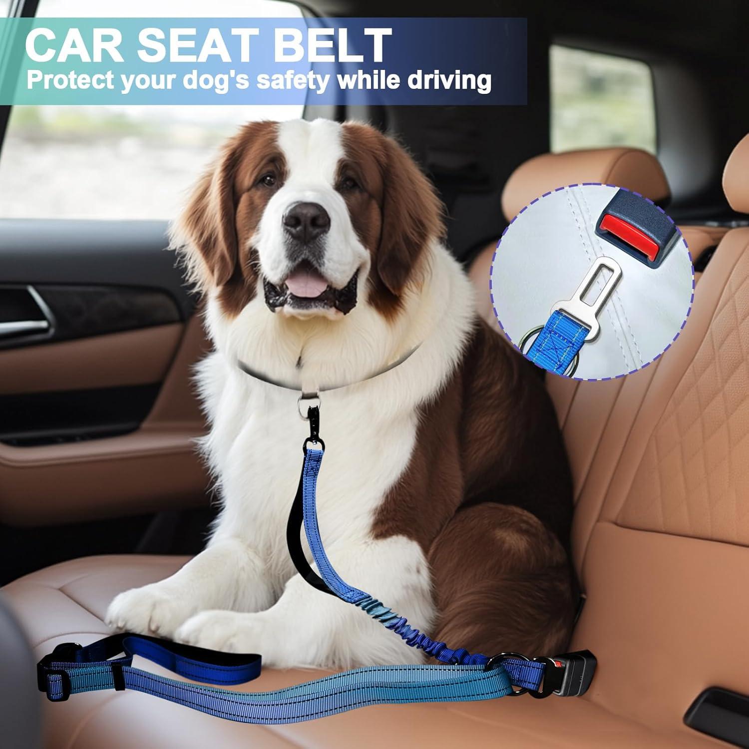 Correa para Perros de Mano Libre Vanqou 1.22-1.83m Aguamarina