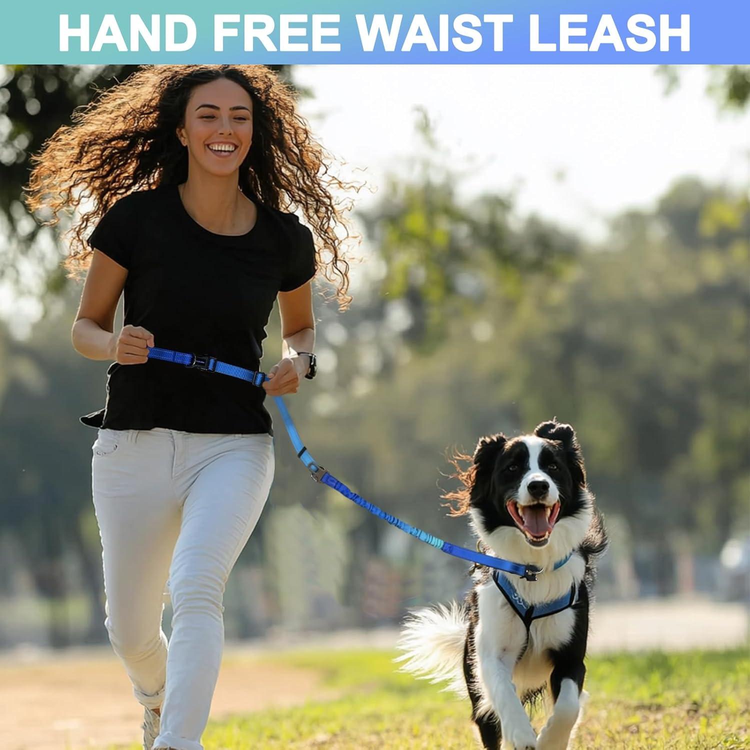 Correa para Perros de Mano Libre Vanqou 1.22-1.83m Aguamarina