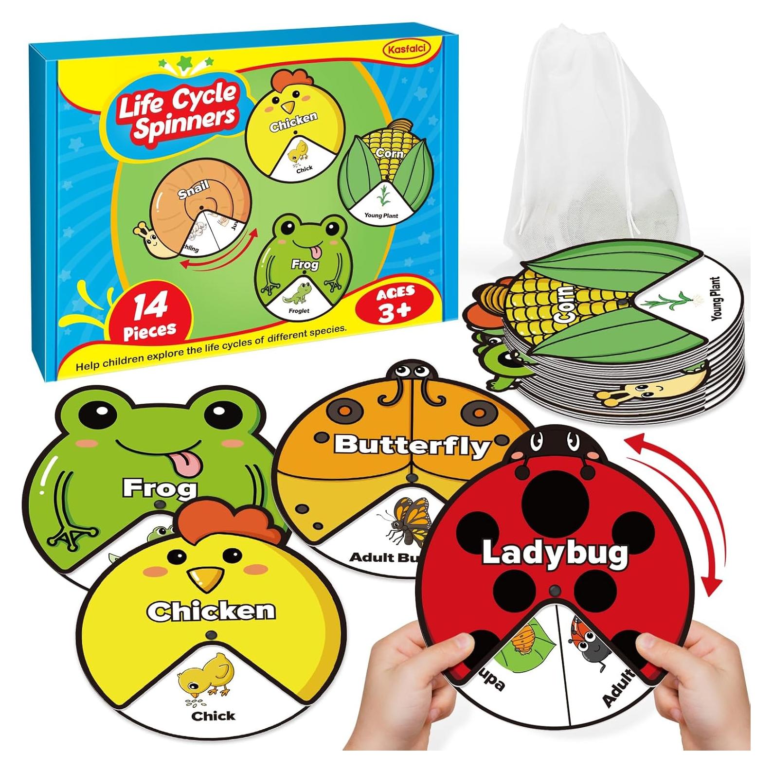 Kit de Juguetes del Ciclo de Vida Montessori - 14 Tarjetas