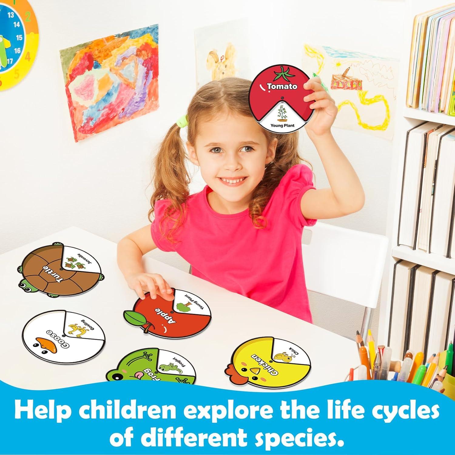 Kit de Juguetes del Ciclo de Vida Montessori - 14 Tarjetas