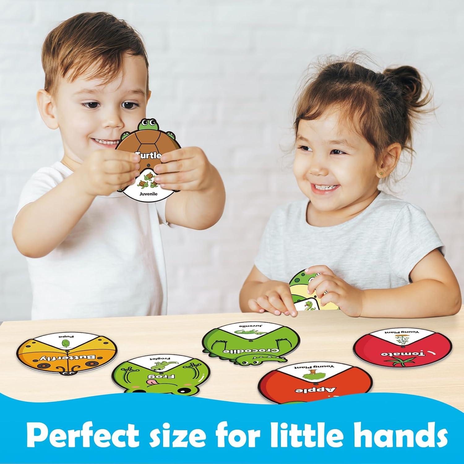 Kit de Juguetes del Ciclo de Vida Montessori - 14 Tarjetas