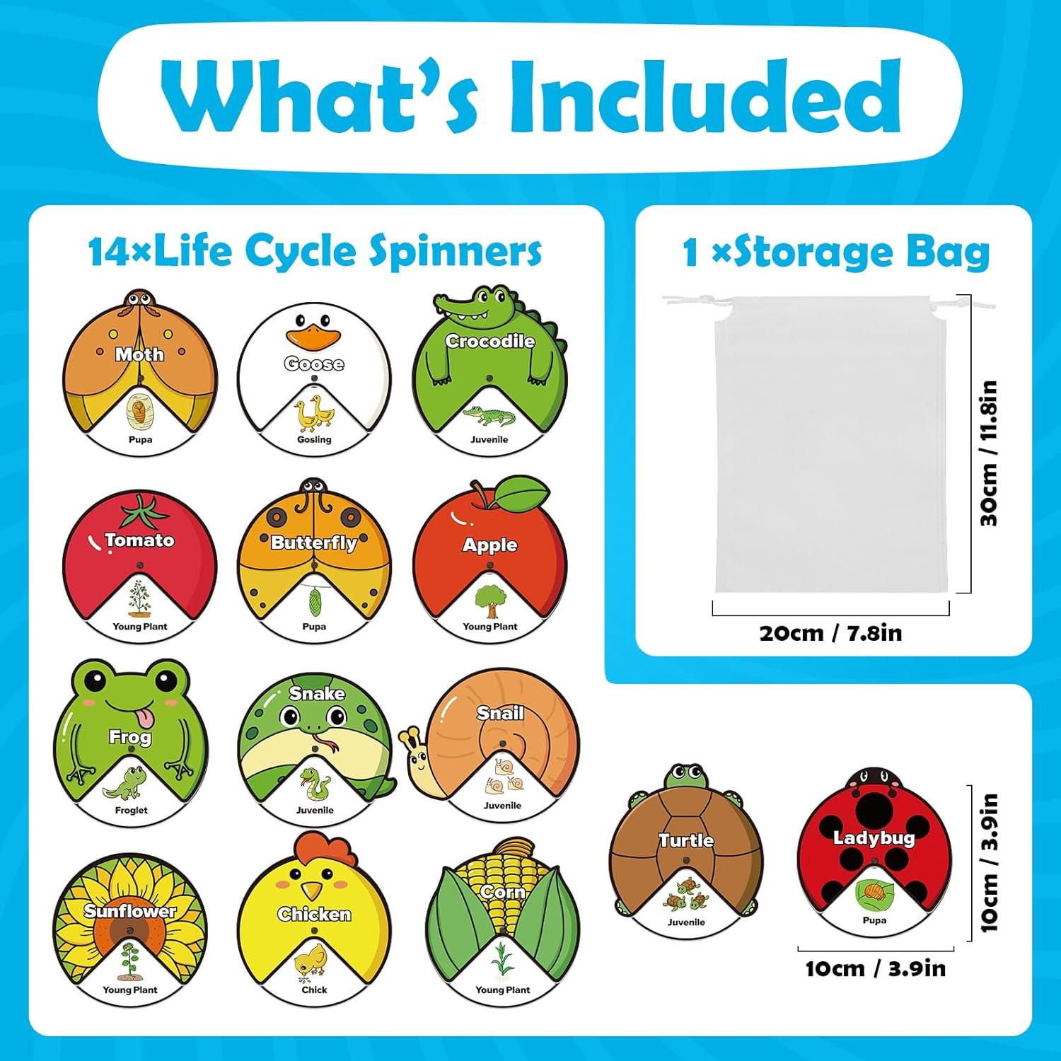 Kit de Juguetes del Ciclo de Vida Montessori - 14 Tarjetas