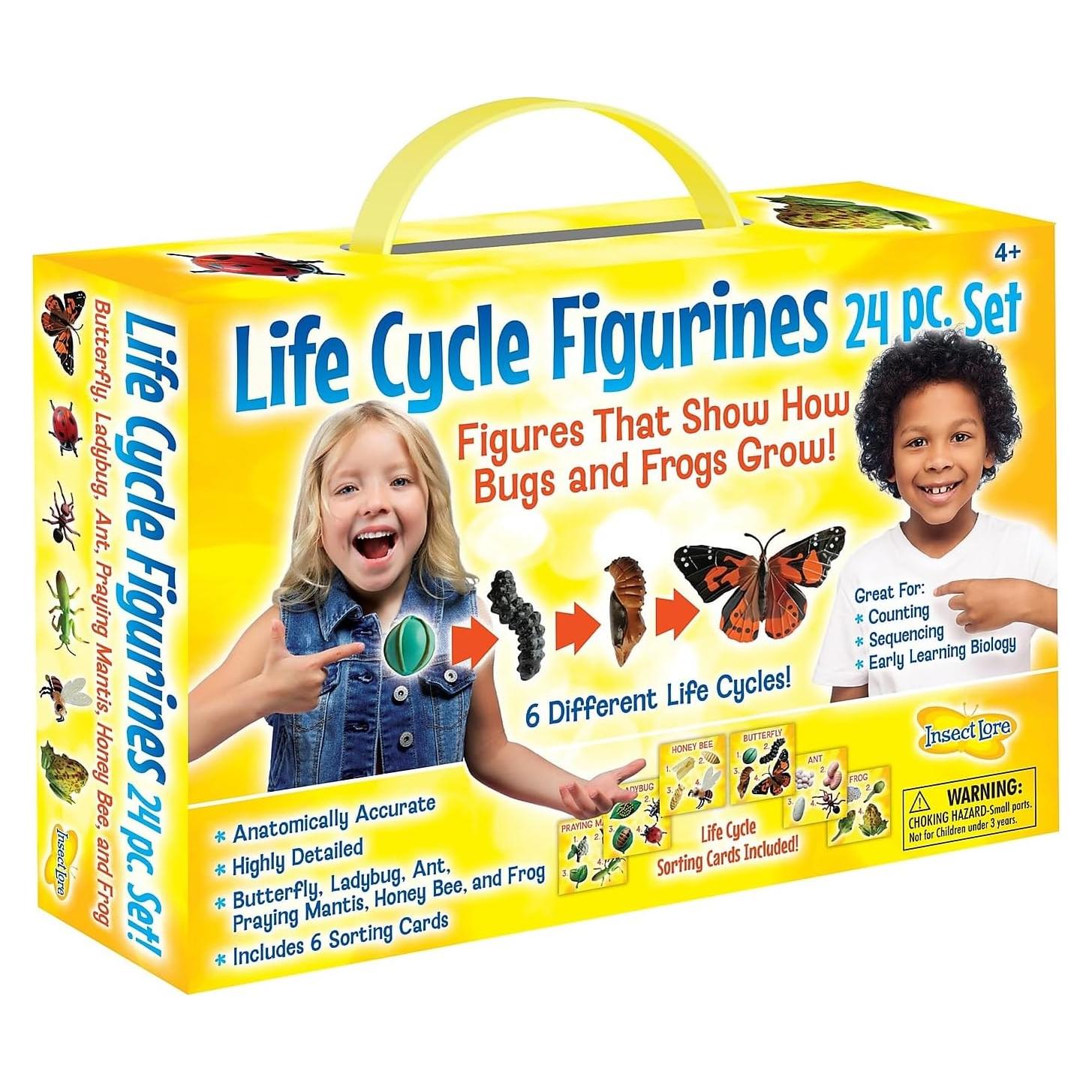 Juego Educativo Ciclo de Vida Insectos Insect Lore 24 Piezas