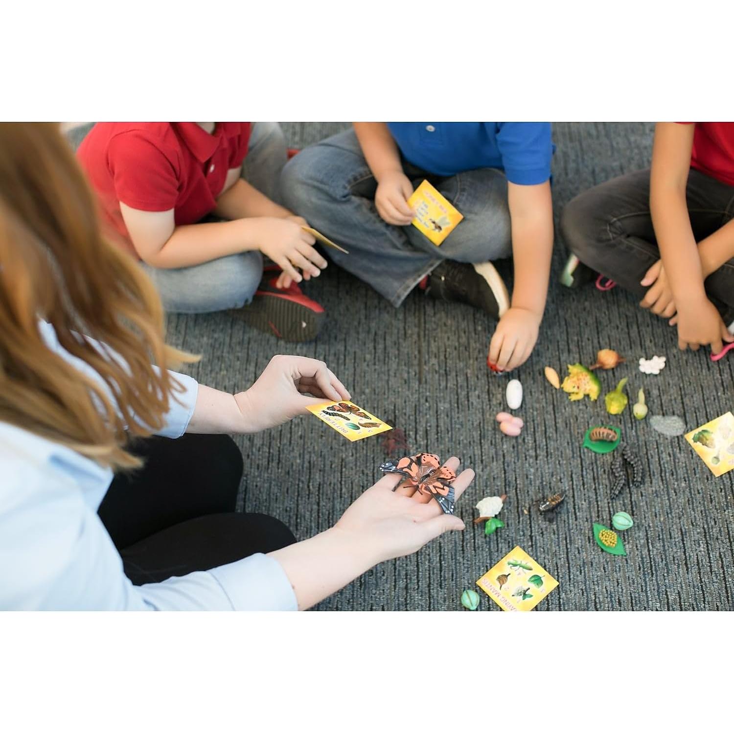 Juego Educativo Ciclo de Vida Insectos Insect Lore 24 Piezas