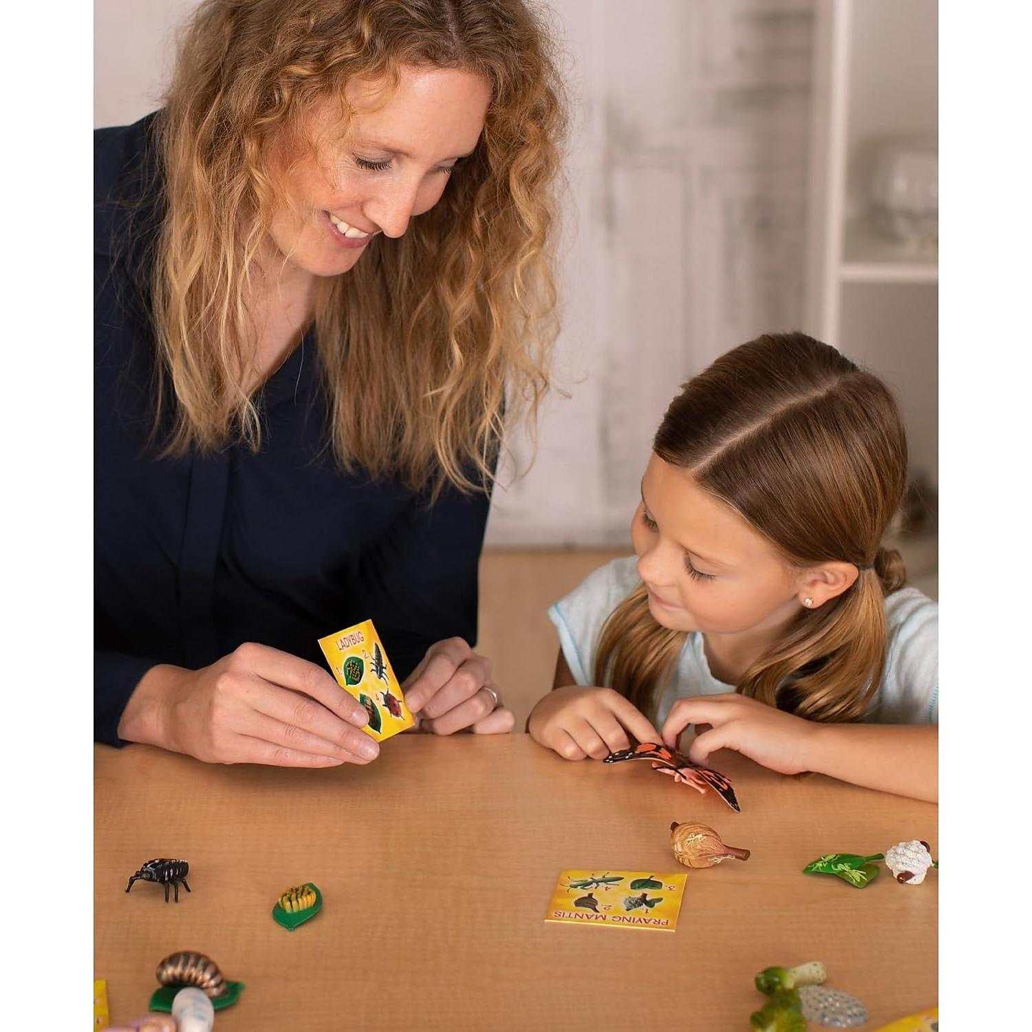 Juego Educativo Ciclo de Vida Insectos Insect Lore 24 Piezas