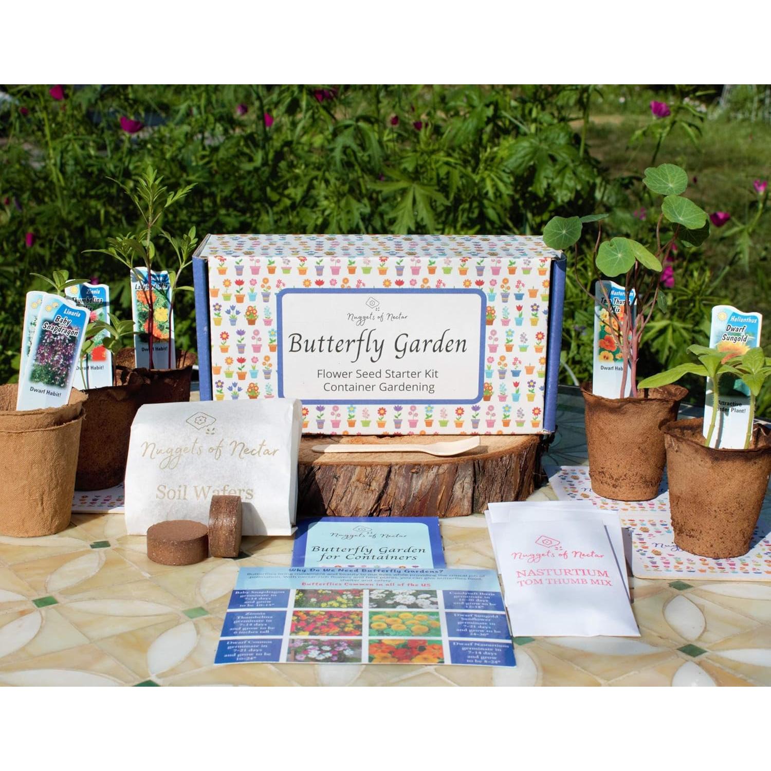 Kit de Semillas de Flores Silvestres Nuggets of Nectar - 6 Variedades