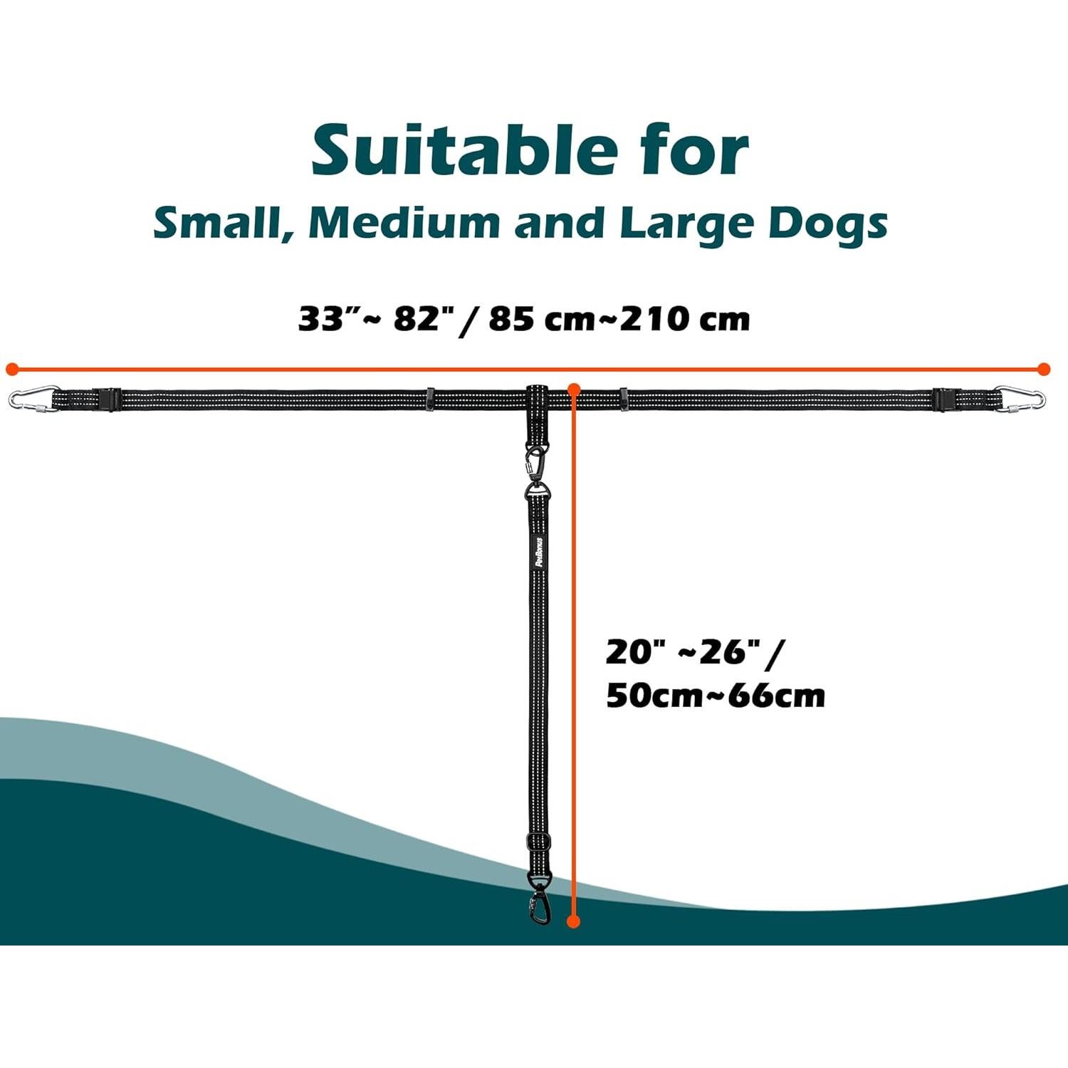 Correa de Seguridad para Perros PetBonus Ajustable Negro