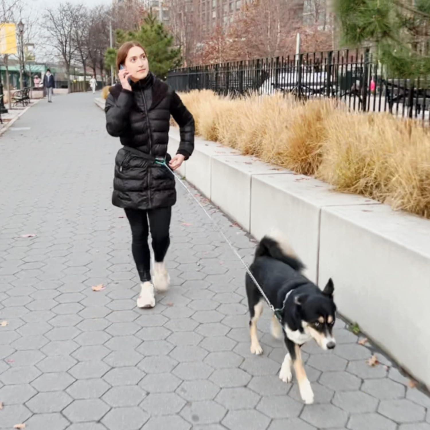 Correa de Perro Pupperoo Universal para Aventura al Aire Libre
