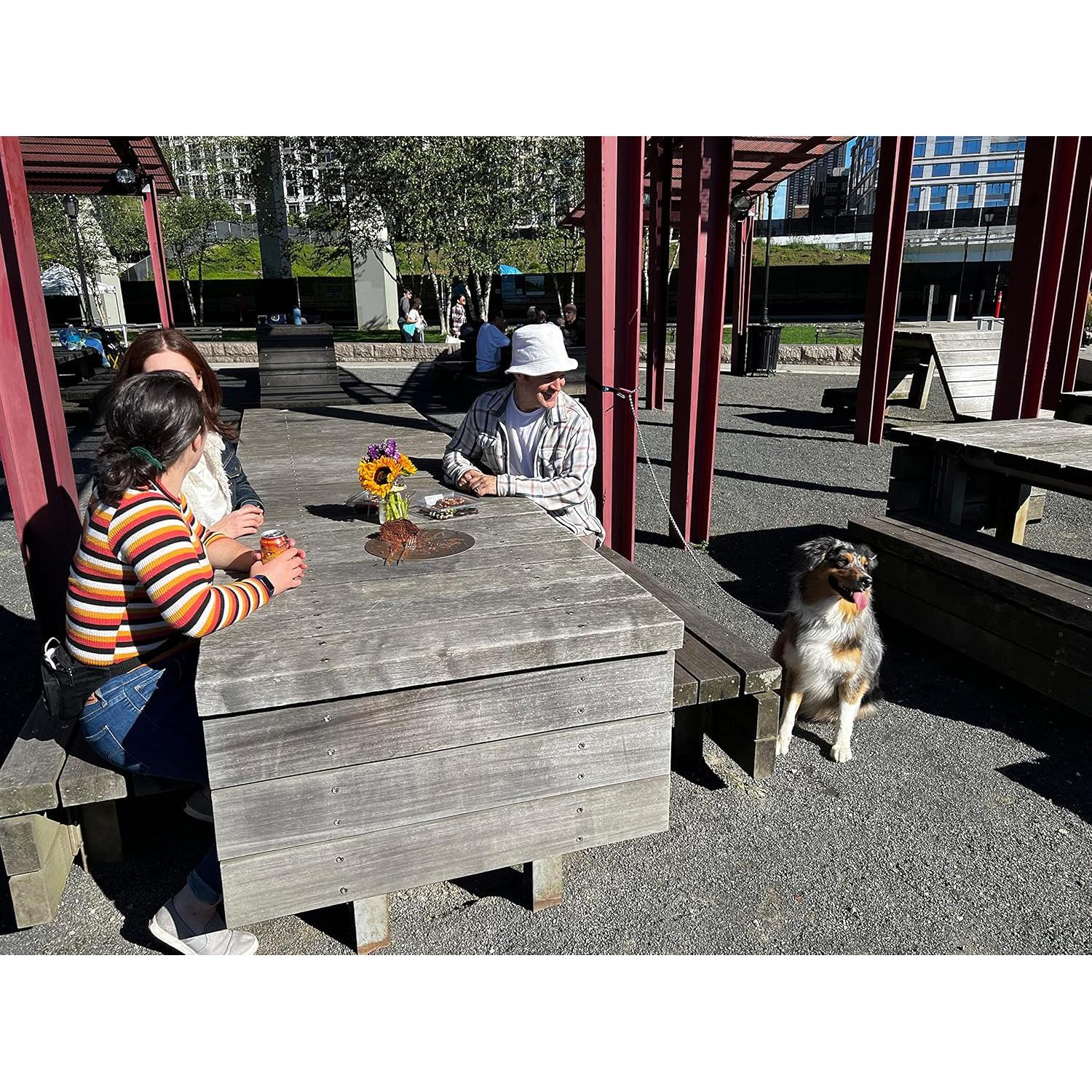 Correa de Perro Pupperoo Universal para Aventura al Aire Libre