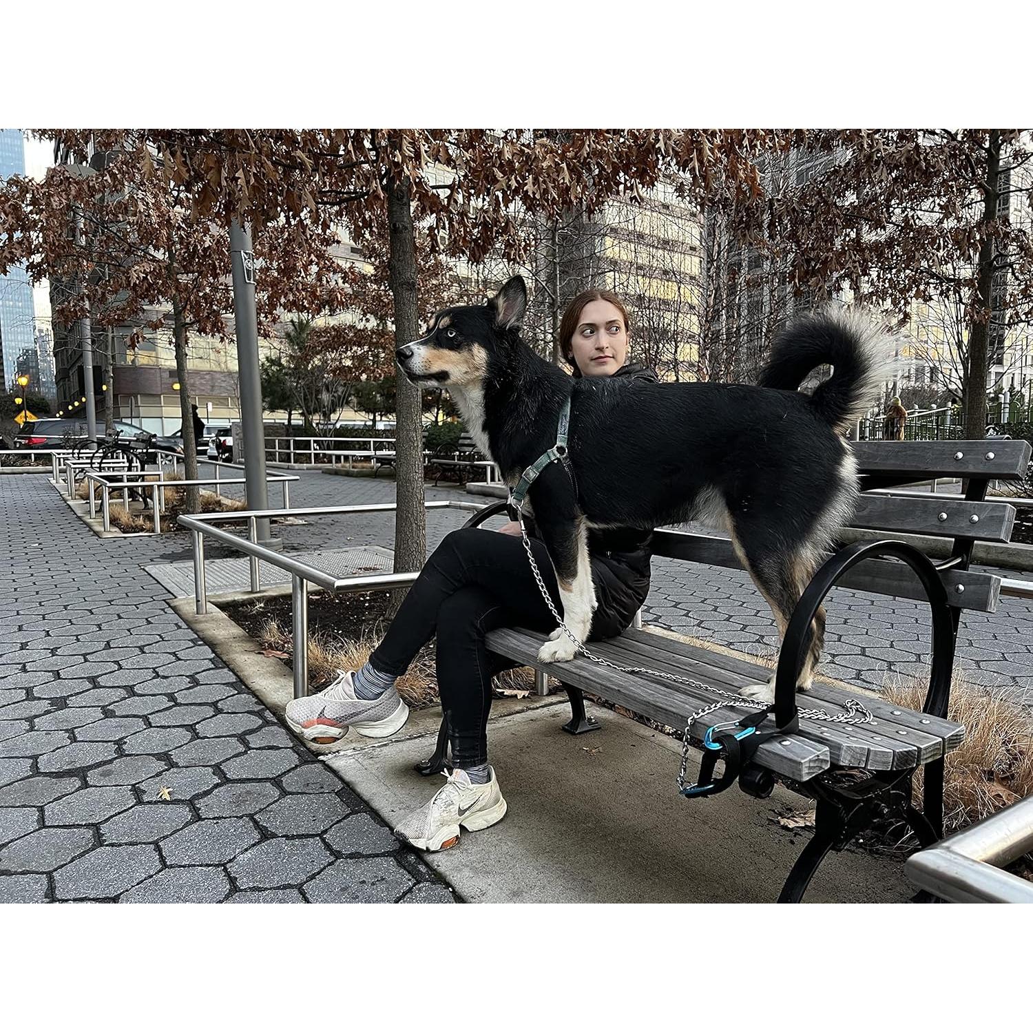 Correa de Perro Pupperoo Universal para Aventura al Aire Libre