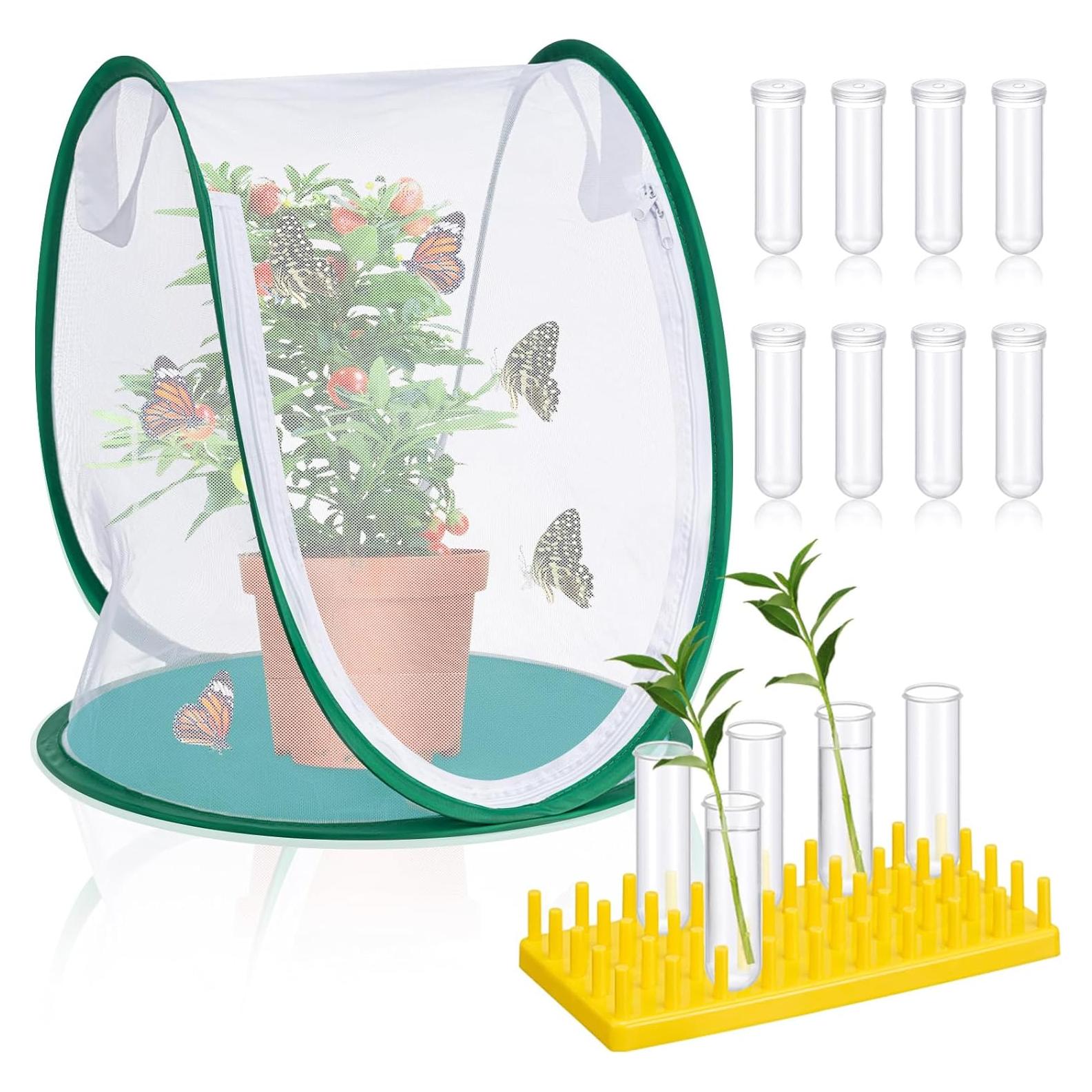 Conjunto de hábitat para mariposas FillTouch 33x37 cm