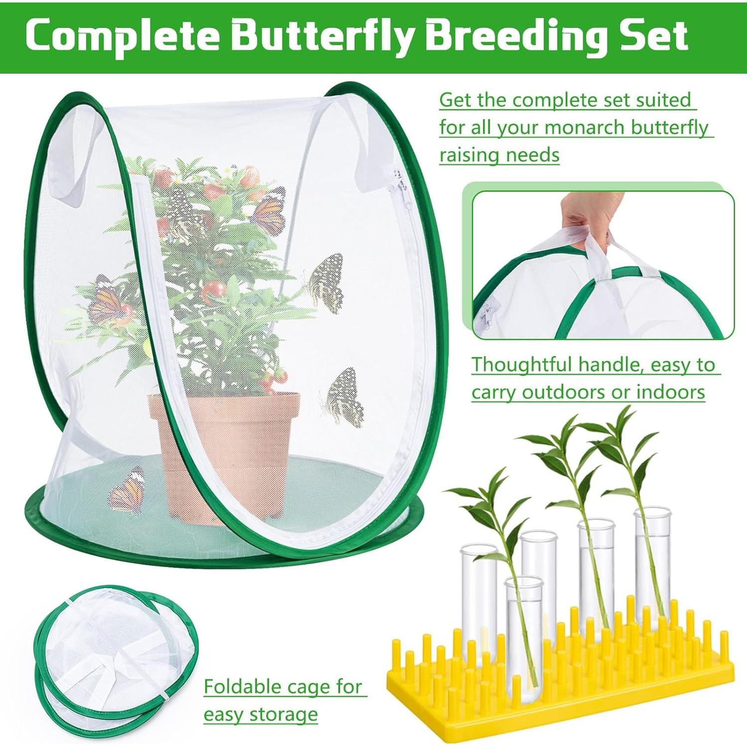 Conjunto de hábitat para mariposas FillTouch 33x37 cm