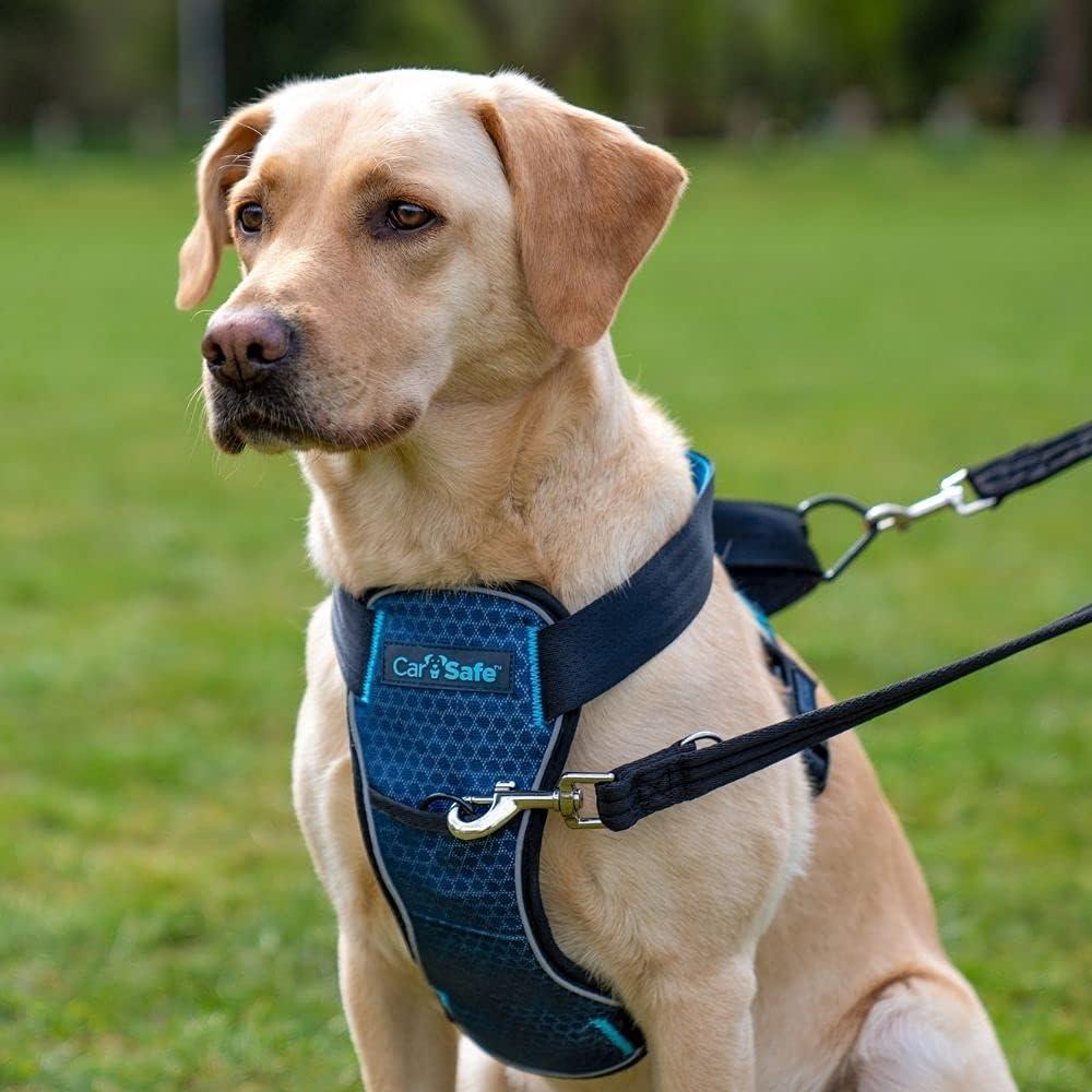 Arnés de Seguridad para Perros CarSafe Grande - Hasta 32Kg