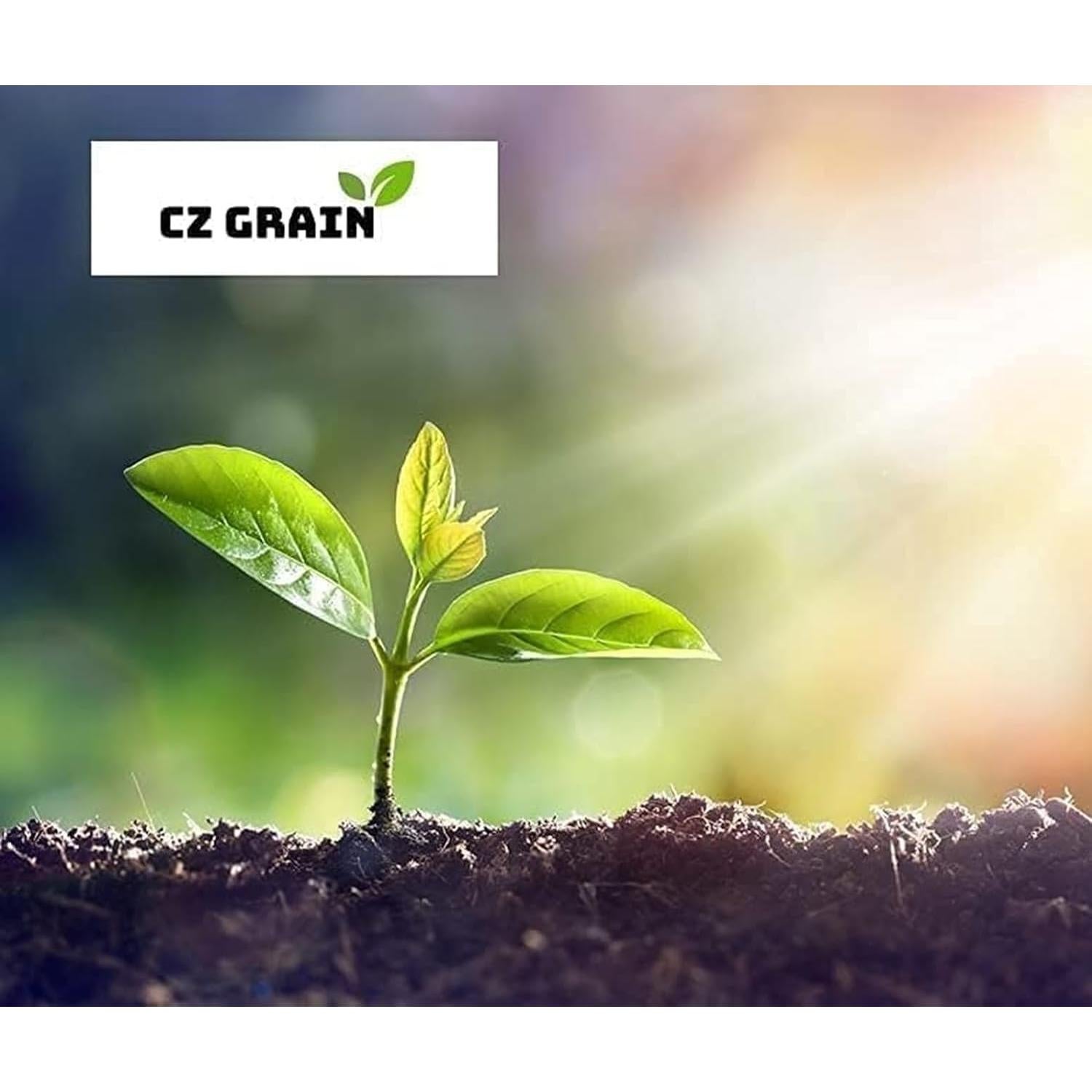 Kit de Reforestación CZ Grain - 5 Sauces y Semillas de Flores