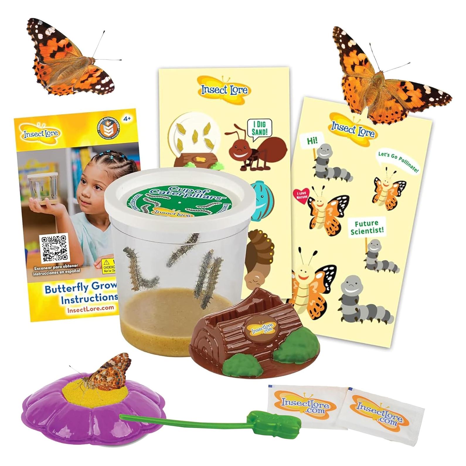 Taza de Orugas Deluxe Insect Lore | 5 Orugas Bebés Vivas | Alimentador y Pegatinas