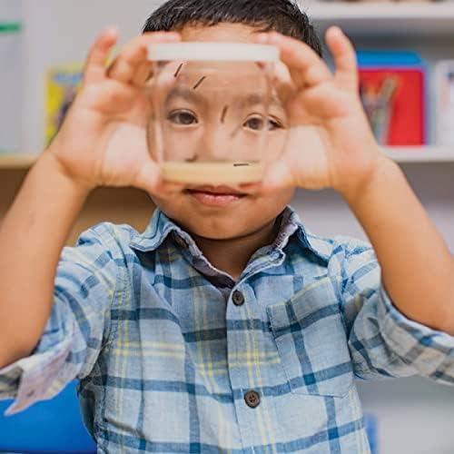 Taza de Orugas Deluxe Insect Lore | 5 Orugas Bebés Vivas | Alimentador y Pegatinas