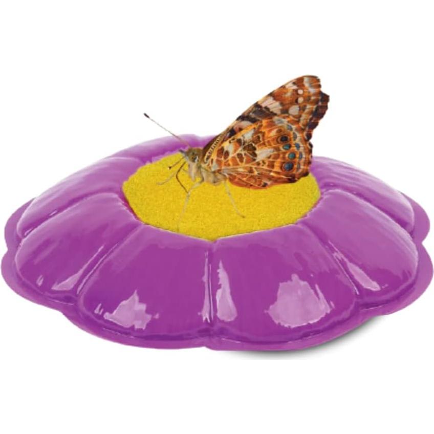 Taza de Orugas Deluxe Insect Lore | 5 Orugas Bebés Vivas | Alimentador y Pegatinas