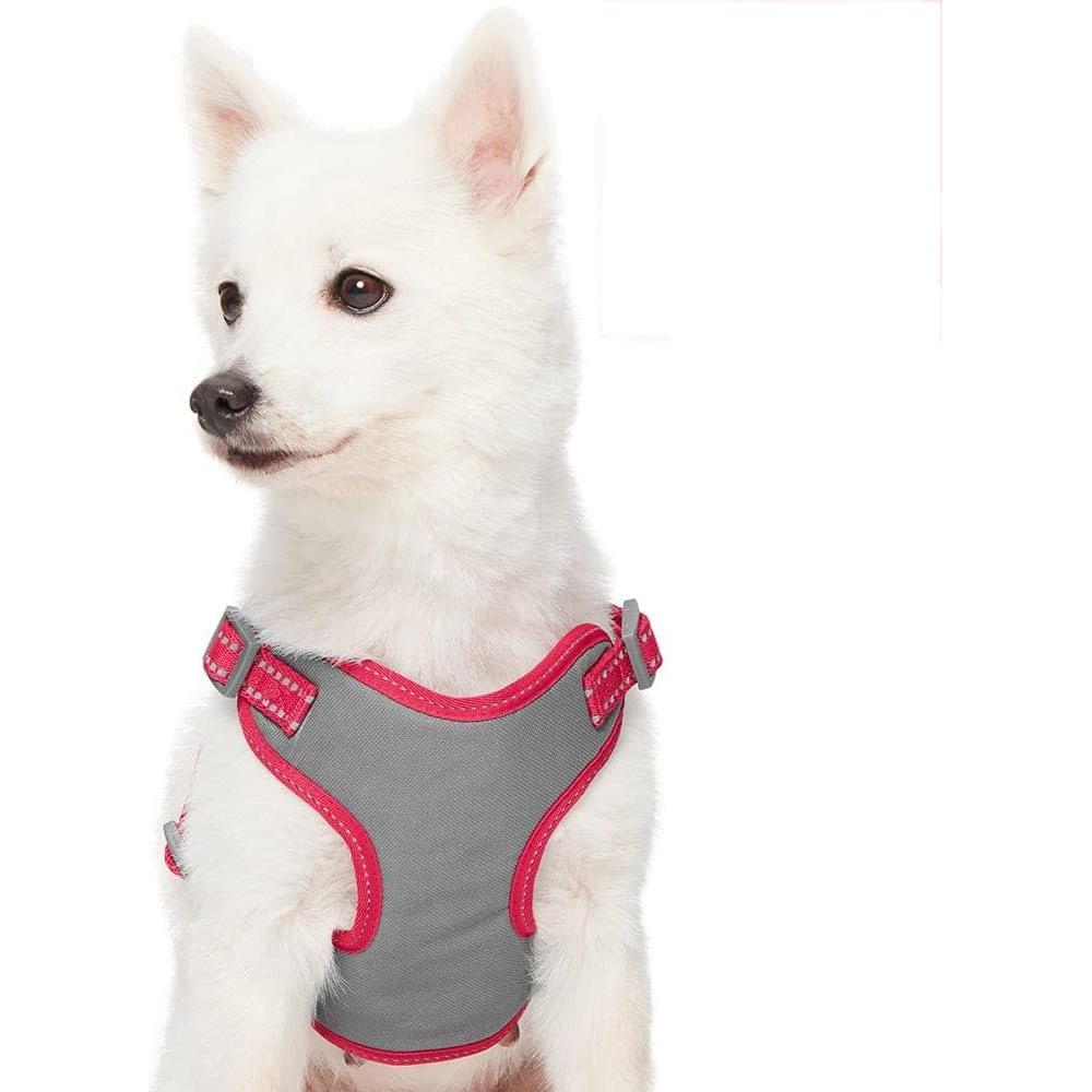 Arnés Reflectante para Perros Blueberry Pet Mediano con Cinturón de Seguridad