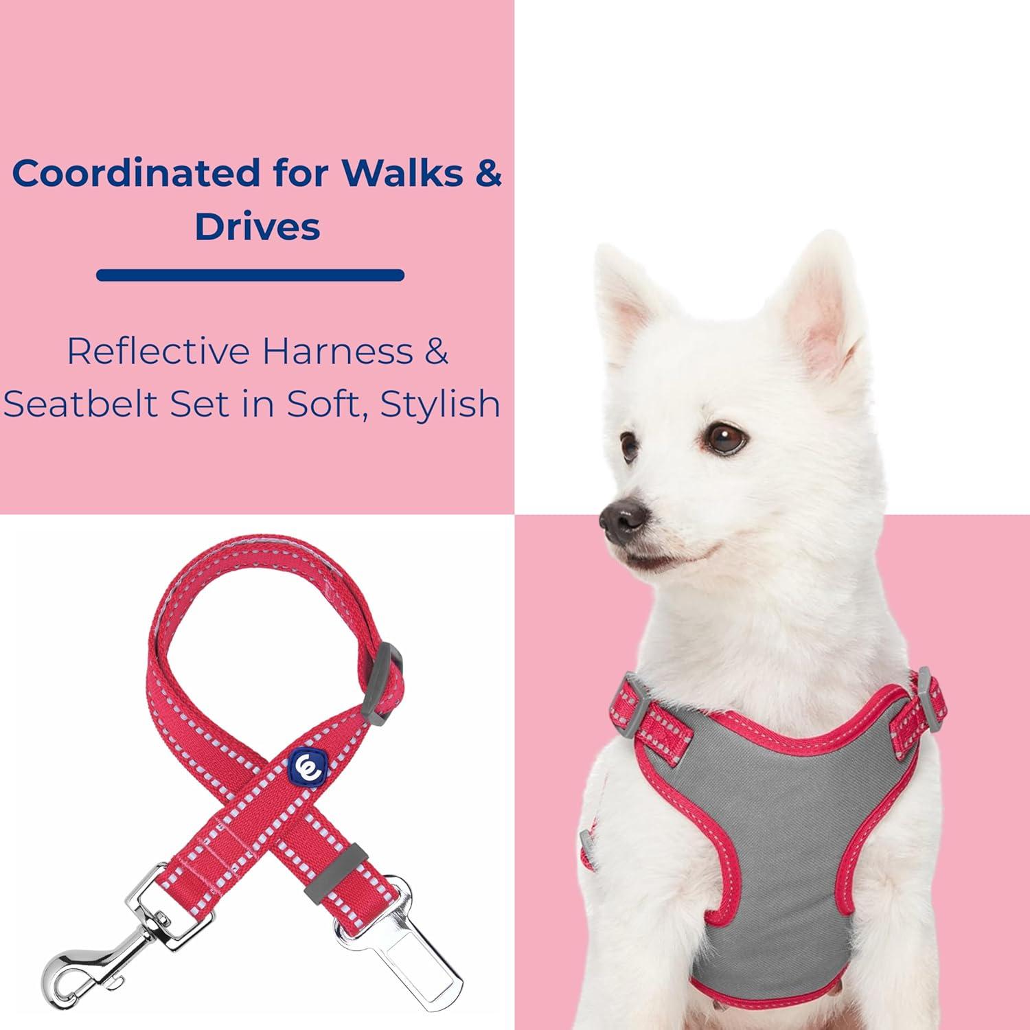 Arnés Reflectante para Perros Blueberry Pet Mediano con Cinturón de Seguridad