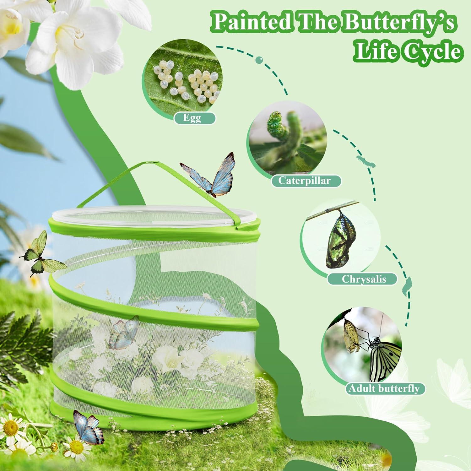 Jaula de Hábitat para Mariposas POPUPARTY 30.48x35.56 cm