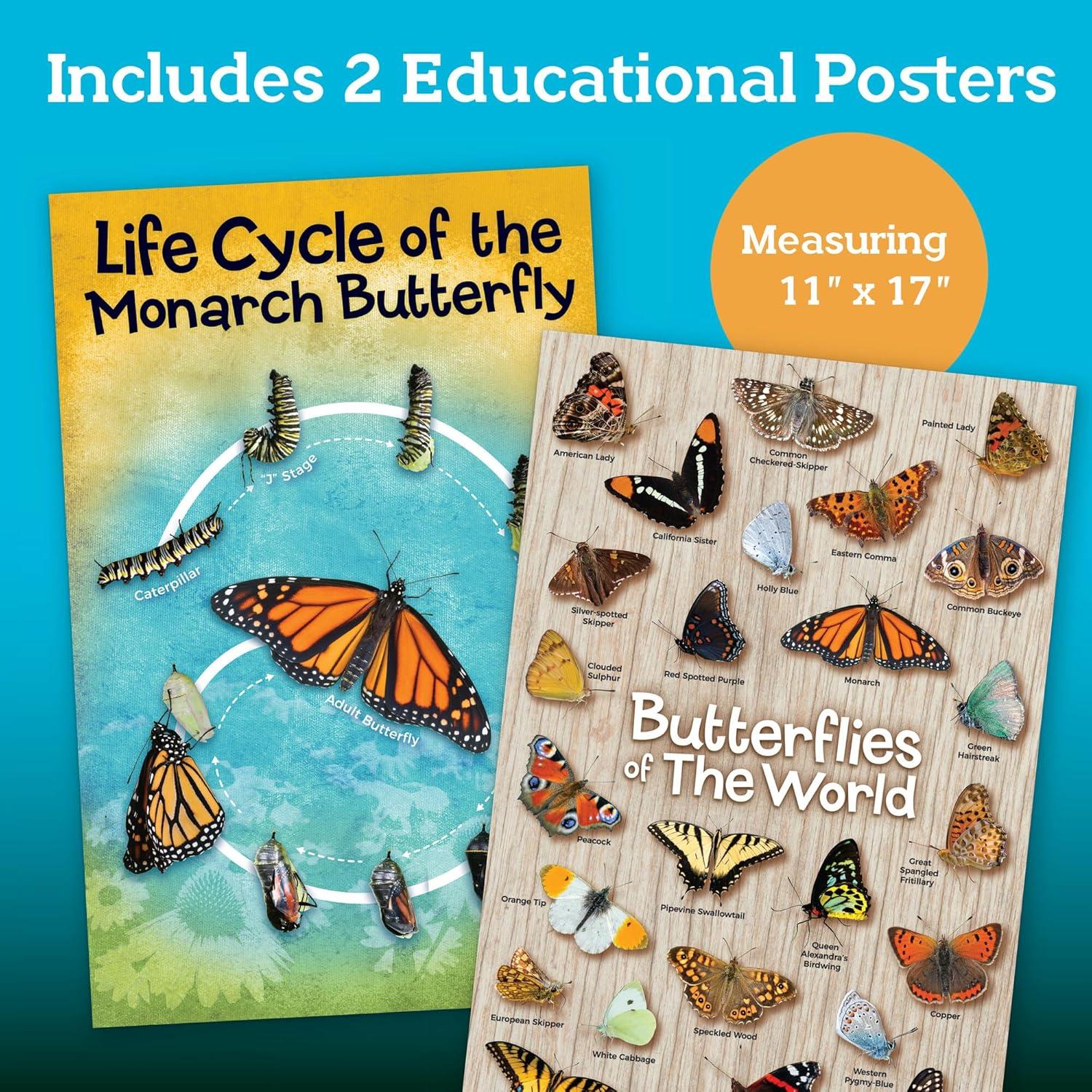 Kit de Manualidades de Mariposas MindWare - Casa de Mariposas 11.4x22.9cm