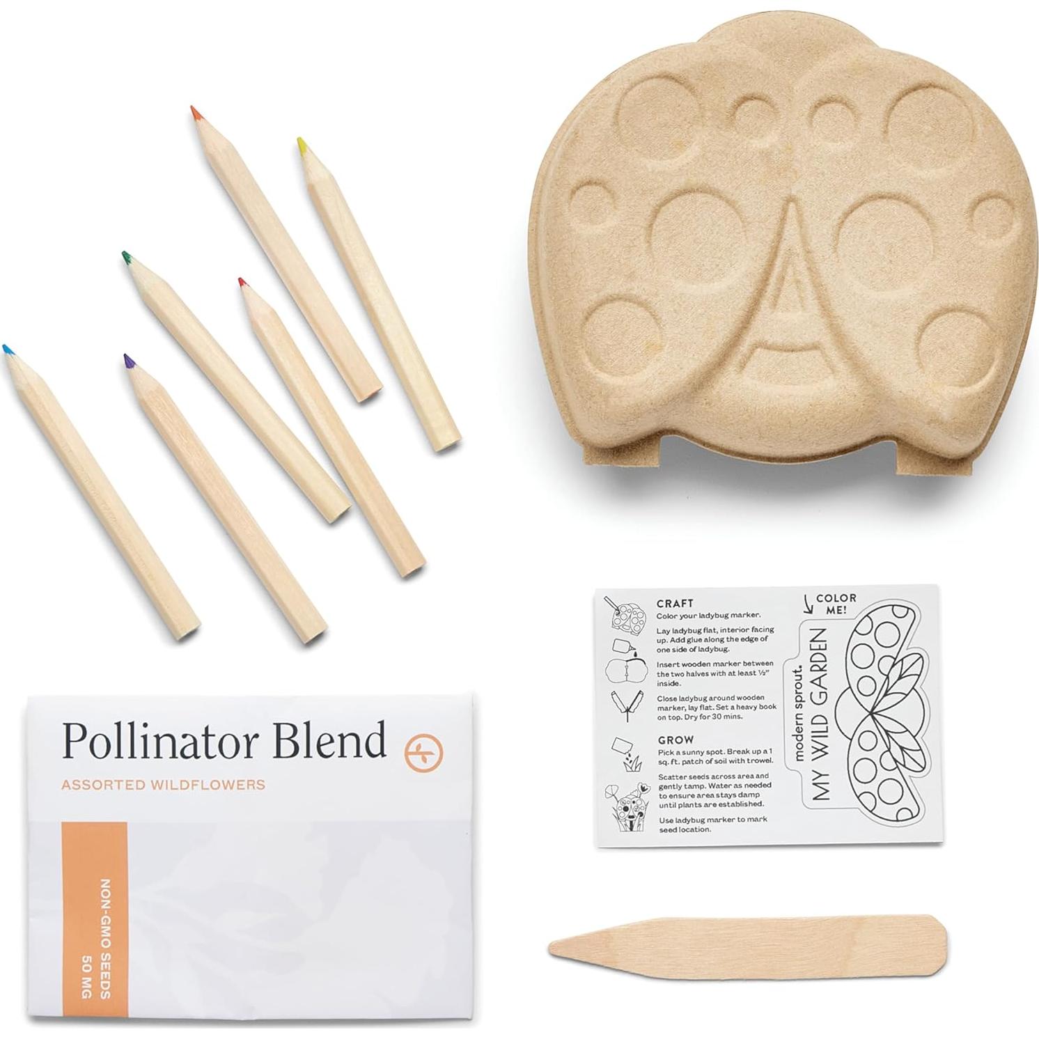 Kit de Jardinería para Niños Modern Sprout - 3 Semillas de Flores