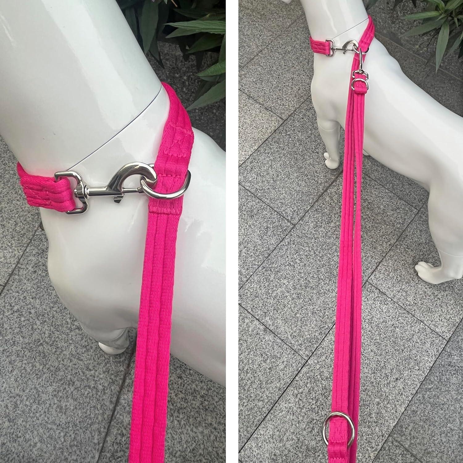 Correa para Perro Motaity 2M Fucsia Ajustable y Duradera
