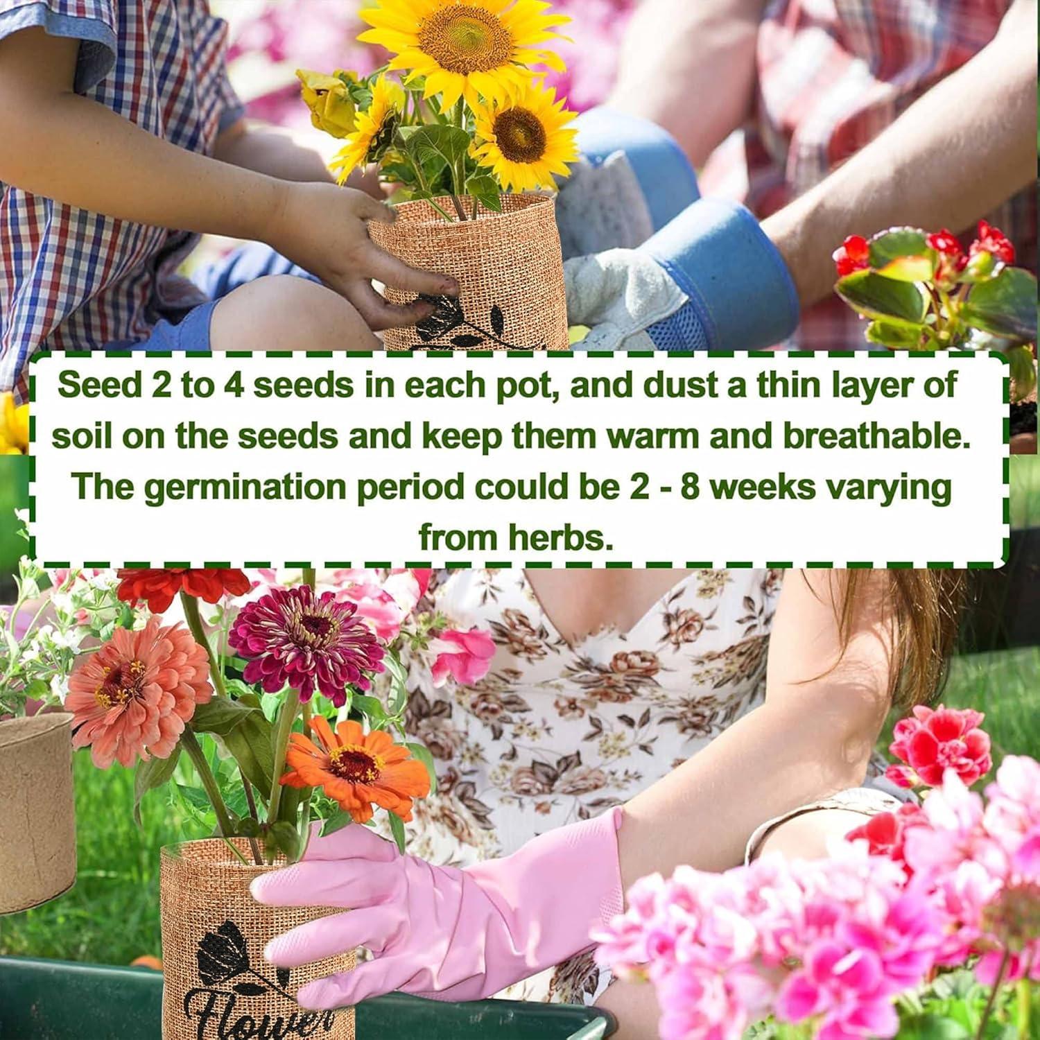 Kit de Inicio Jardinería Interior Meekear - 4 Discos Coco