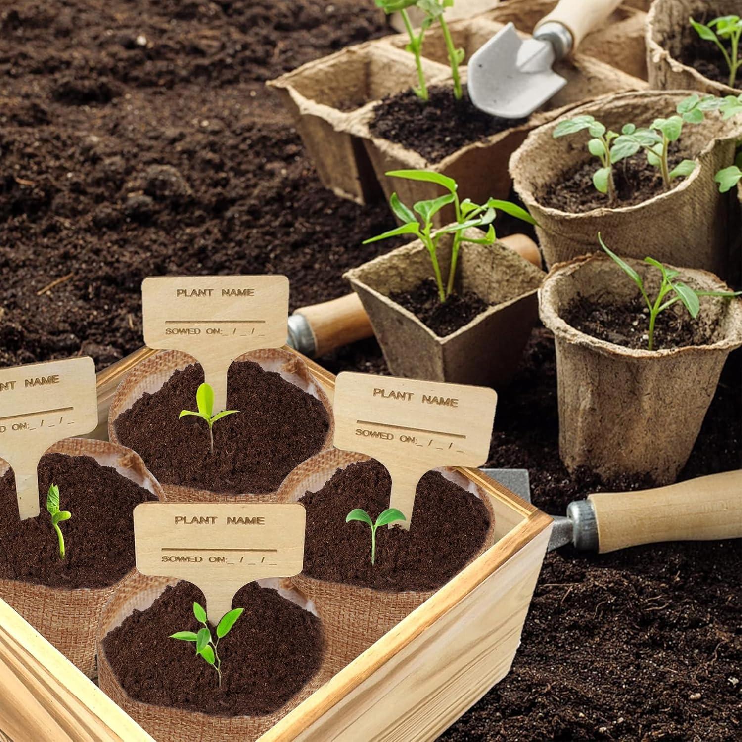 Kit de Inicio Jardinería Interior Meekear - 4 Discos Coco