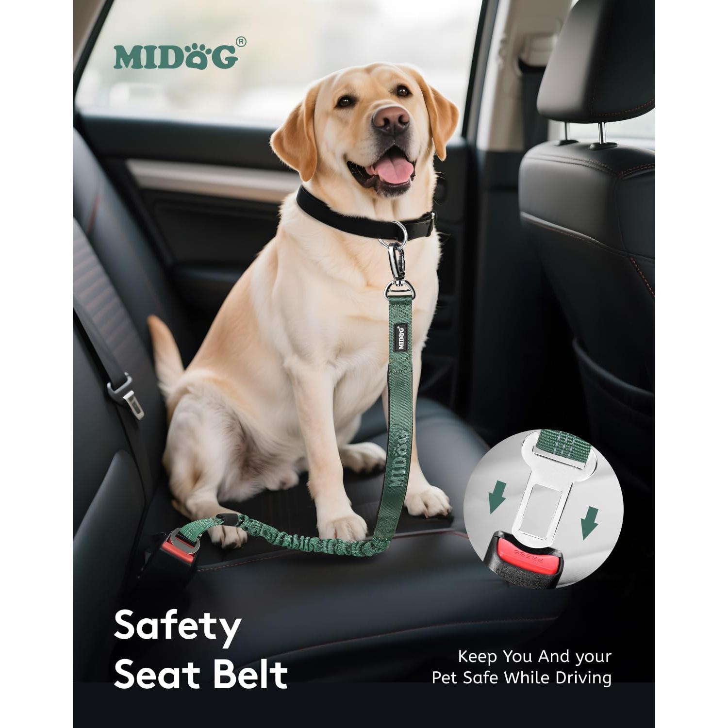 Correa Bungee para Perros MIDOG 1.2m con Bolsillo Verde