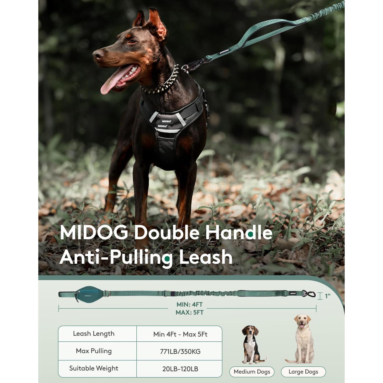 Correa Bungee para Perros MIDOG 1.2m con Bolsillo Verde