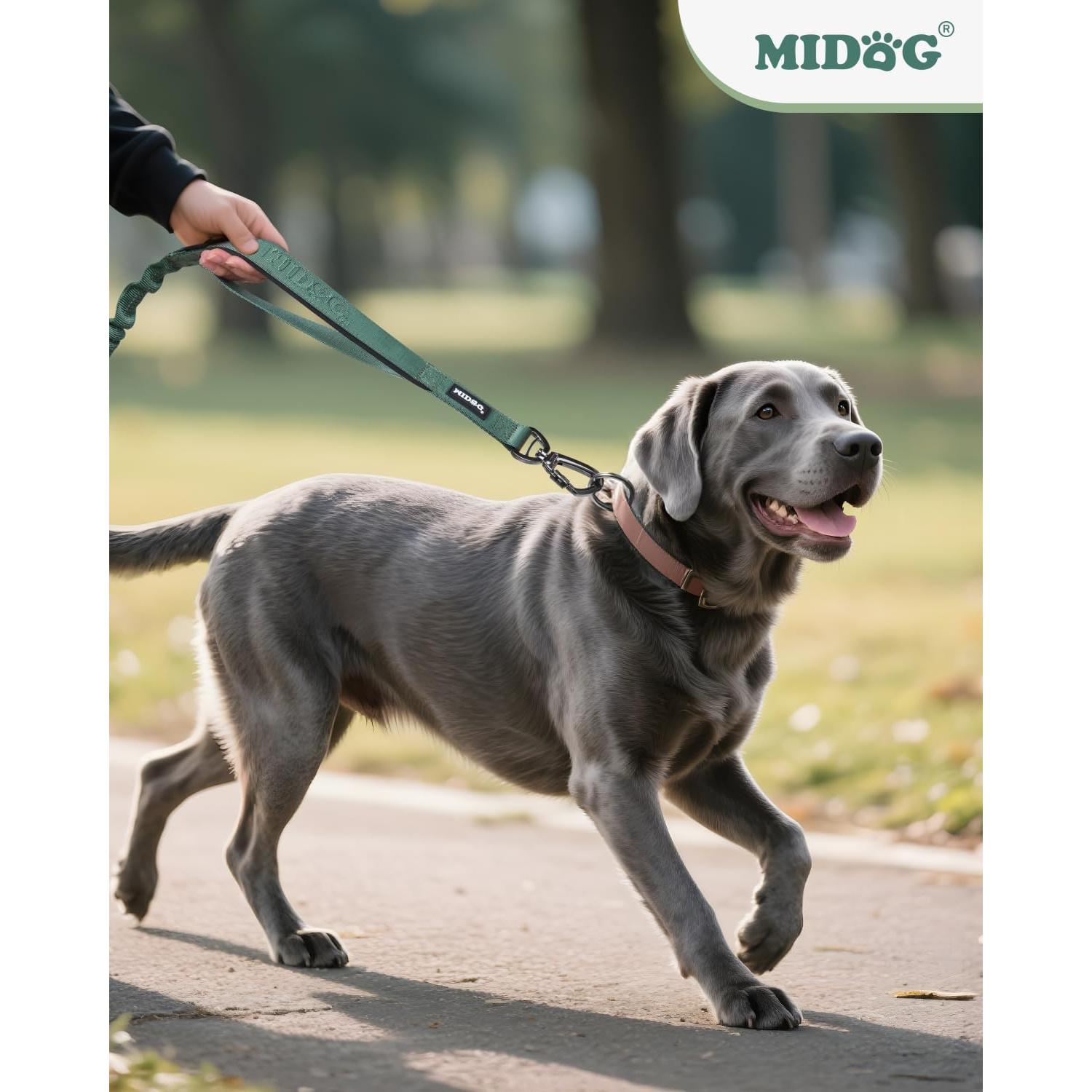 Correa Bungee para Perros MIDOG 1.2m con Bolsillo Verde