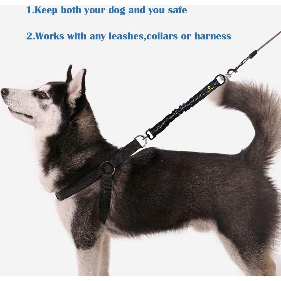 Extensión de Correa de Perro Bungee Snagle Paw 60.96 cm