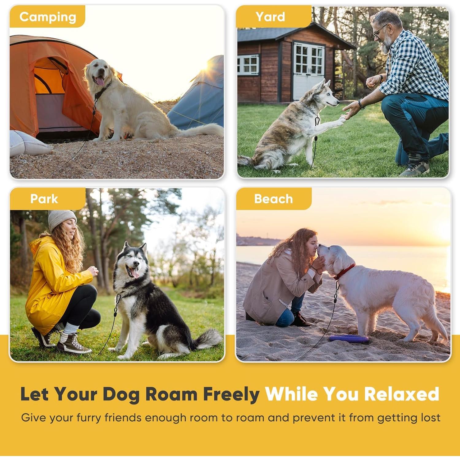 Cable de Atado para Perros Petbobi 6M Alta Resistencia Negro