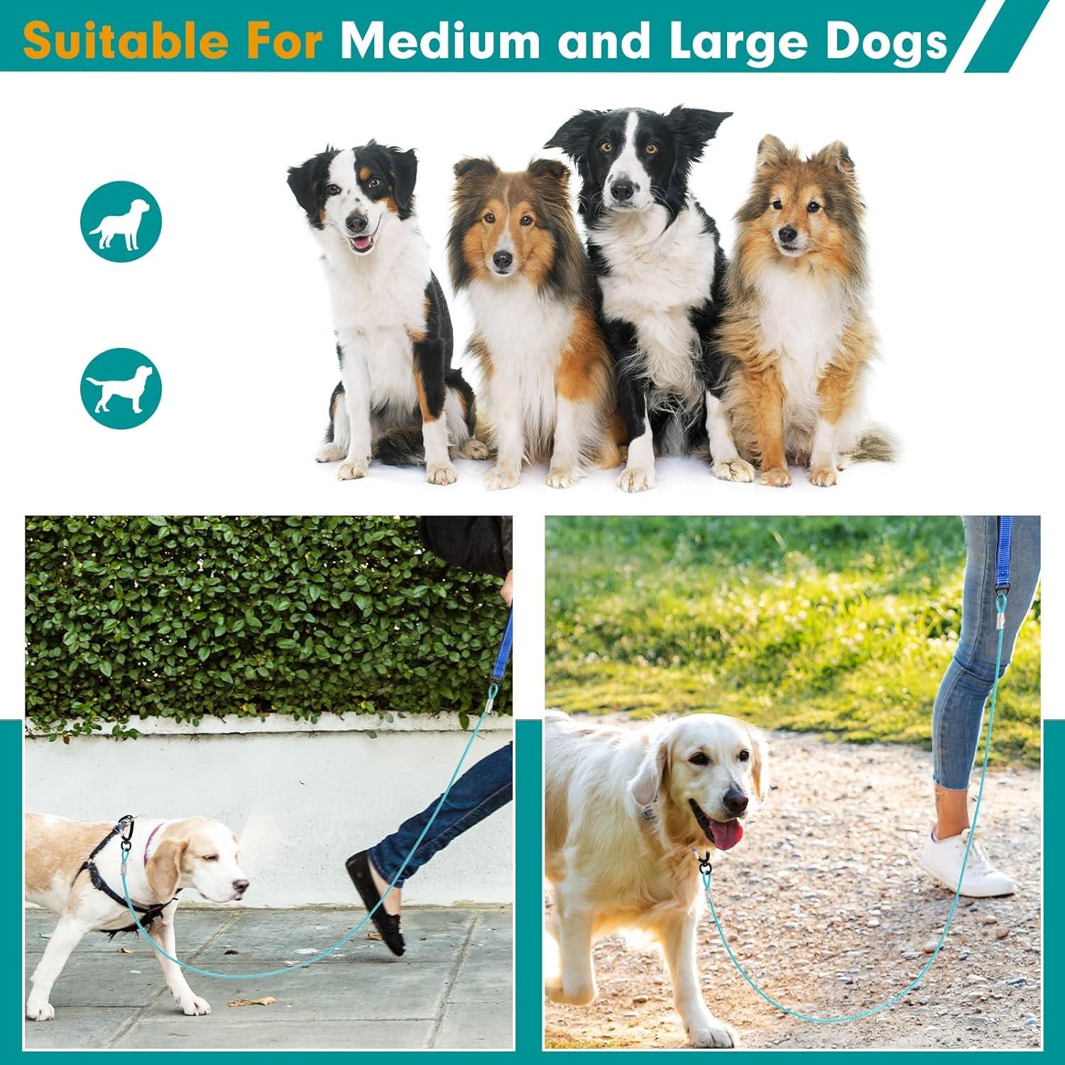 Correa para Perros Libbipaw 1.83m Resistente a Mordeduras Azul