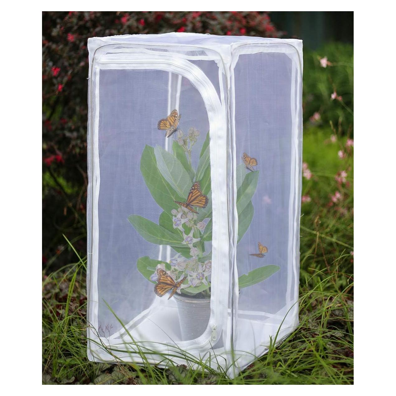 Jaula Plegable para Mariposas Restcloud 38x38x76cm Resistente