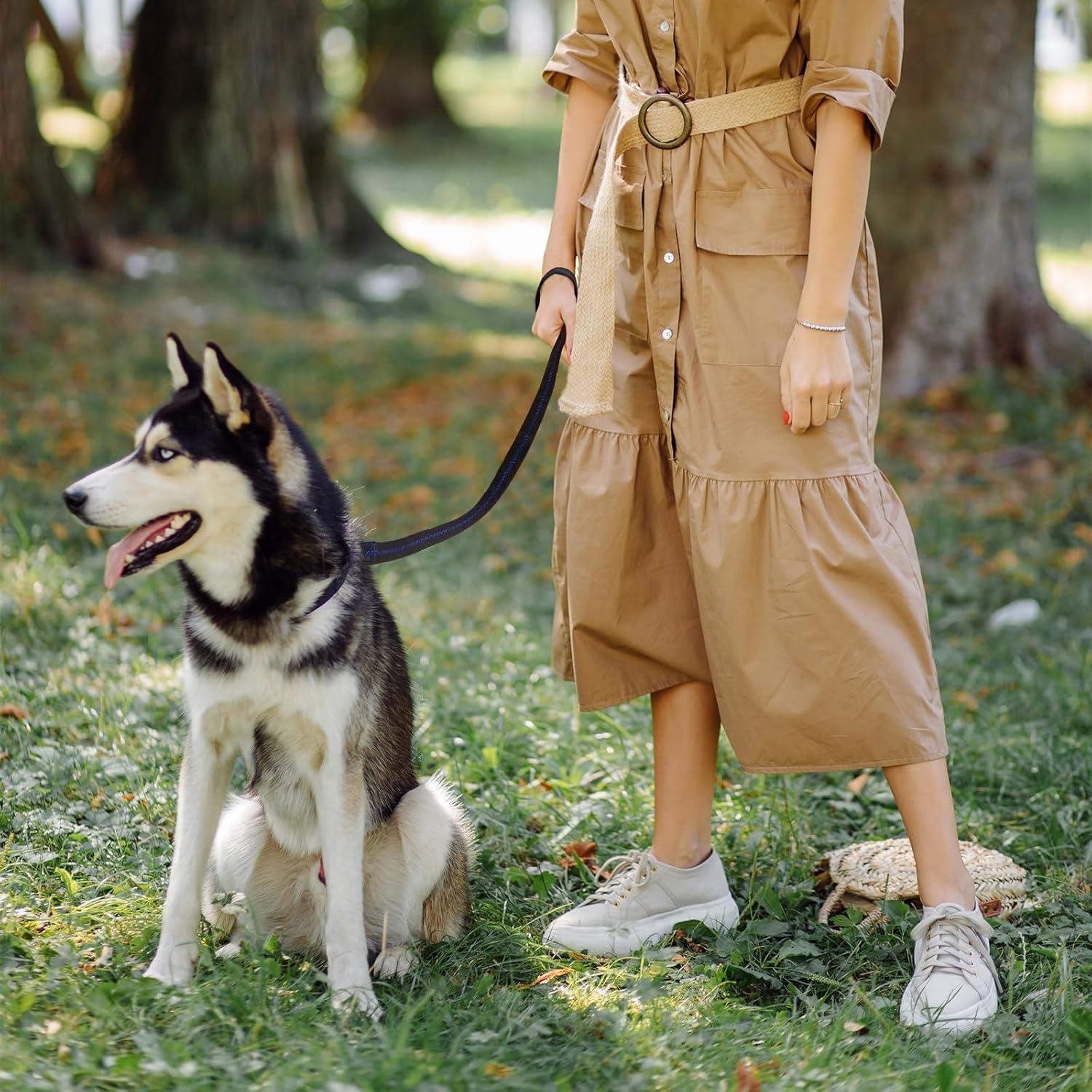 Correa de Seguridad para Silla de Paseo Bebé y Perro - Negro