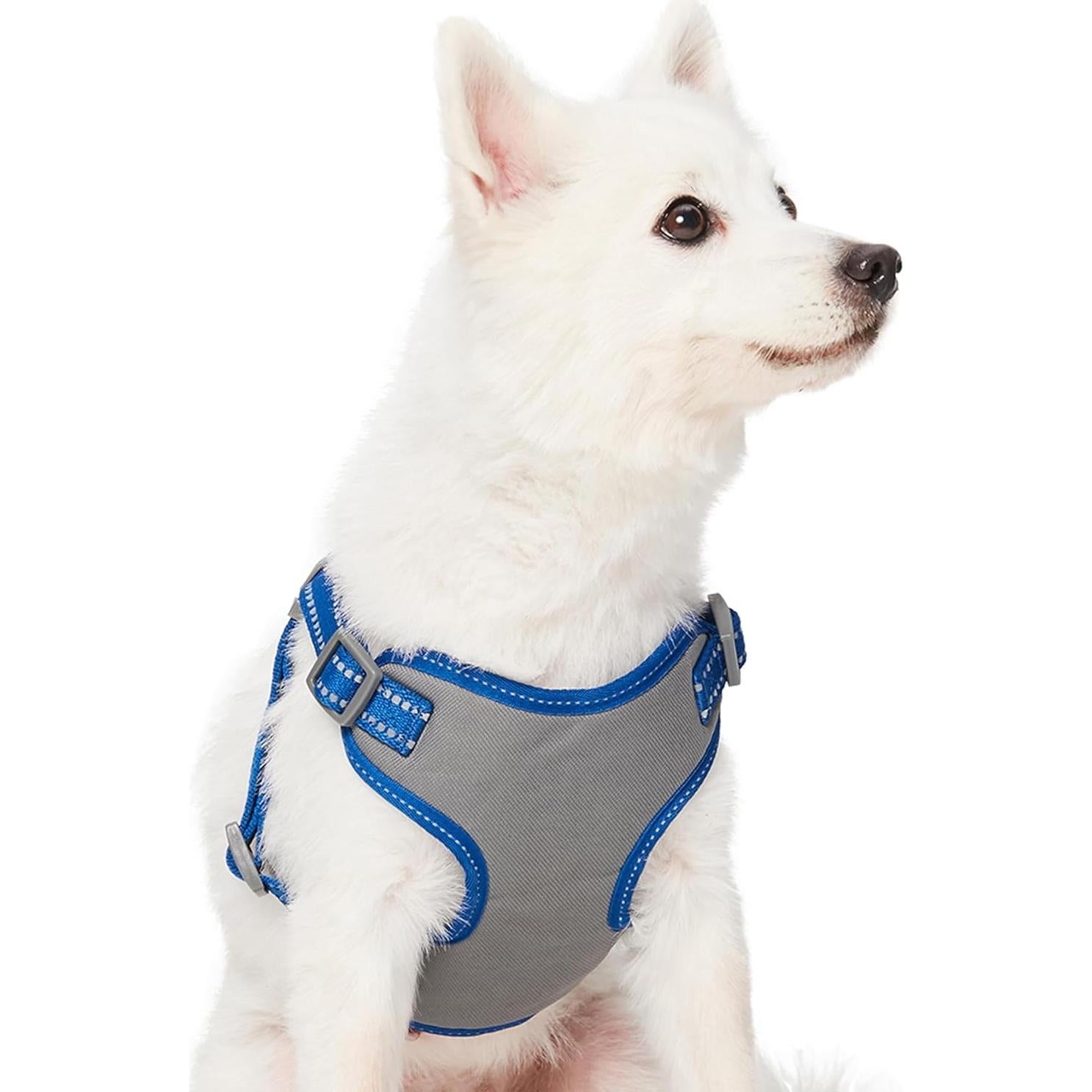 Arnés y cinturón de seguridad reflectante Blueberry Pet - Grande