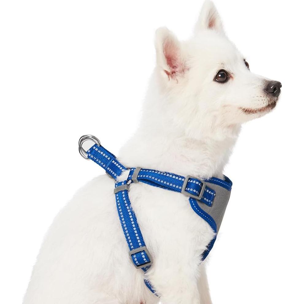 Arnés y cinturón de seguridad reflectante Blueberry Pet - Grande