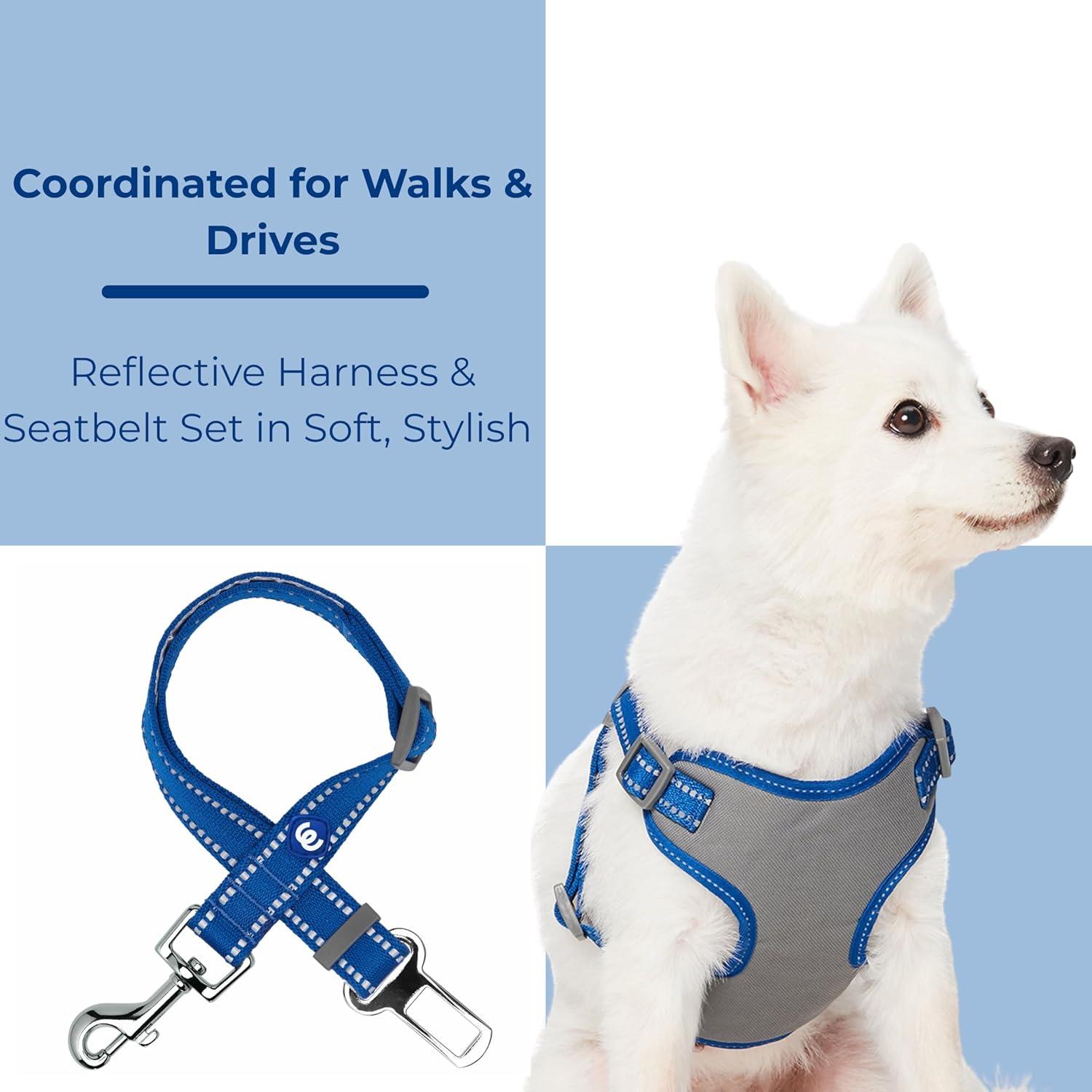 Arnés y cinturón de seguridad reflectante Blueberry Pet - Grande