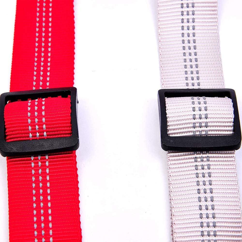 Cinturón de Seguridad para Perros PETPOPO Ajustable 6 Colores