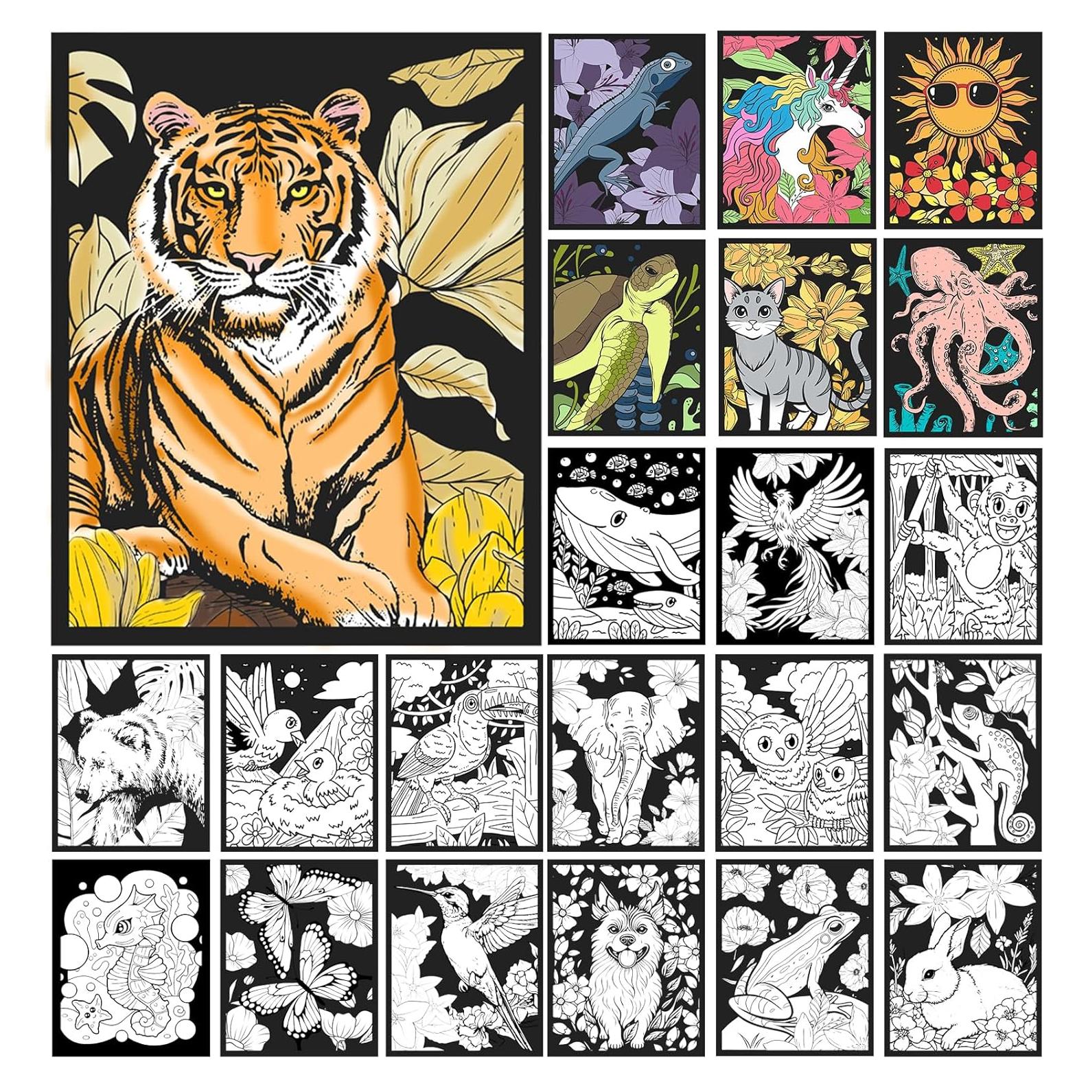 Pósters de Terciopelo para Colorear HOTPLACY - 48 Pcs Animales