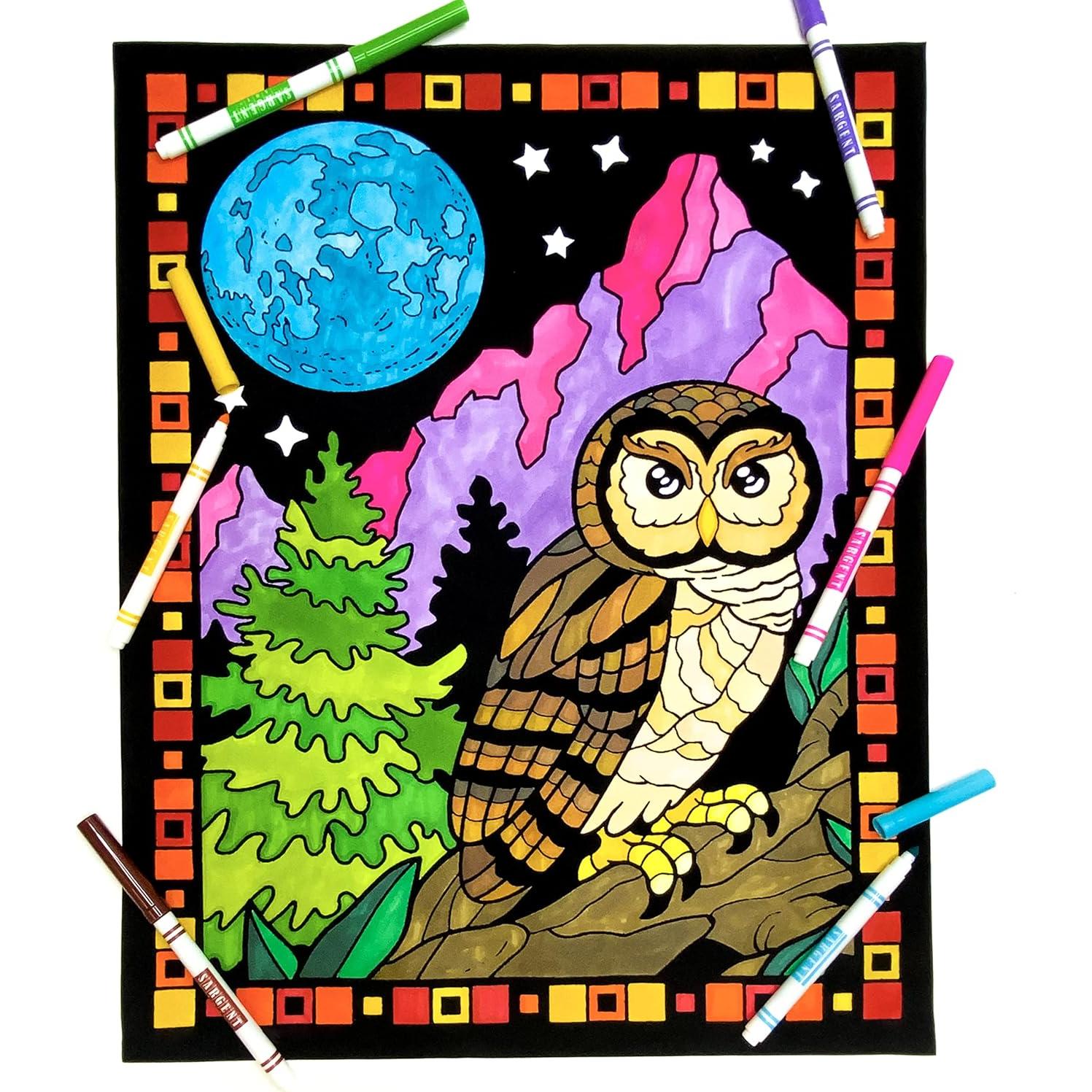 Póster de Colorear Terciopelo Búho de Medianoche 50x40cm