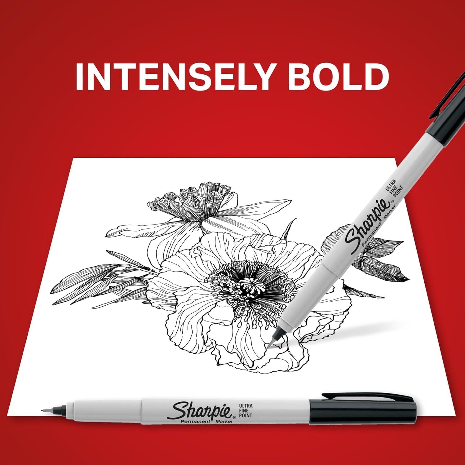 Juego de 12 Marcadores Permanentes Sharpie Punta Fina Negros