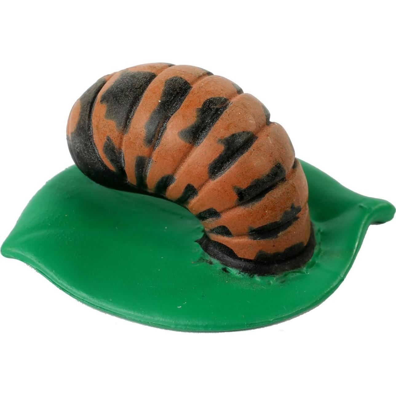 Ciclo de Vida de la Mariquita Insect Lore - 4 Figuras Educativas