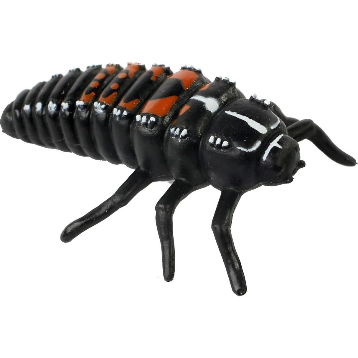 Ciclo de Vida de la Mariquita Insect Lore - 4 Figuras Educativas