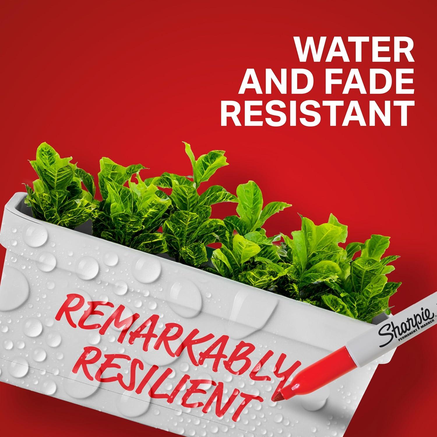 Juego de 12 Marcadores Permanentes Sharpie Punta Fina Rojo