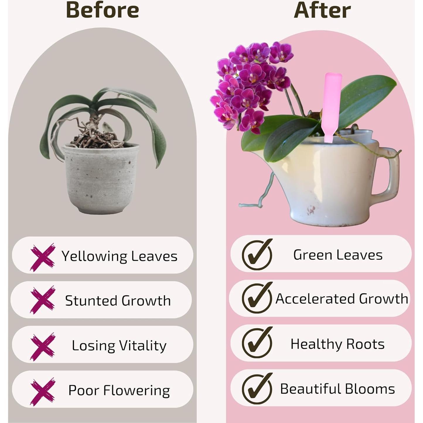 Picos de Fertilizante Líquido para Orquídeas AO Trading - 20-20-20