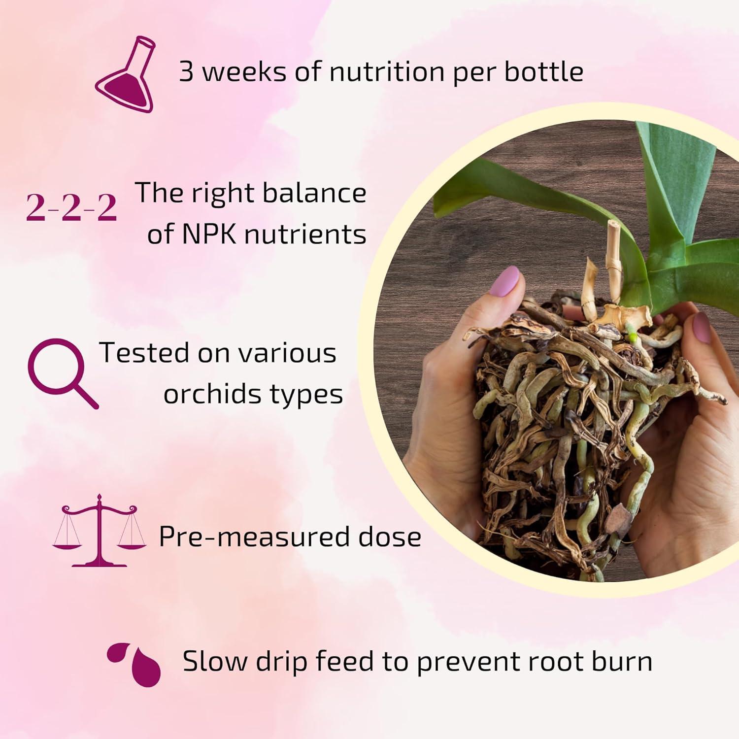Picos de Fertilizante Líquido para Orquídeas AO Trading - 20-20-20