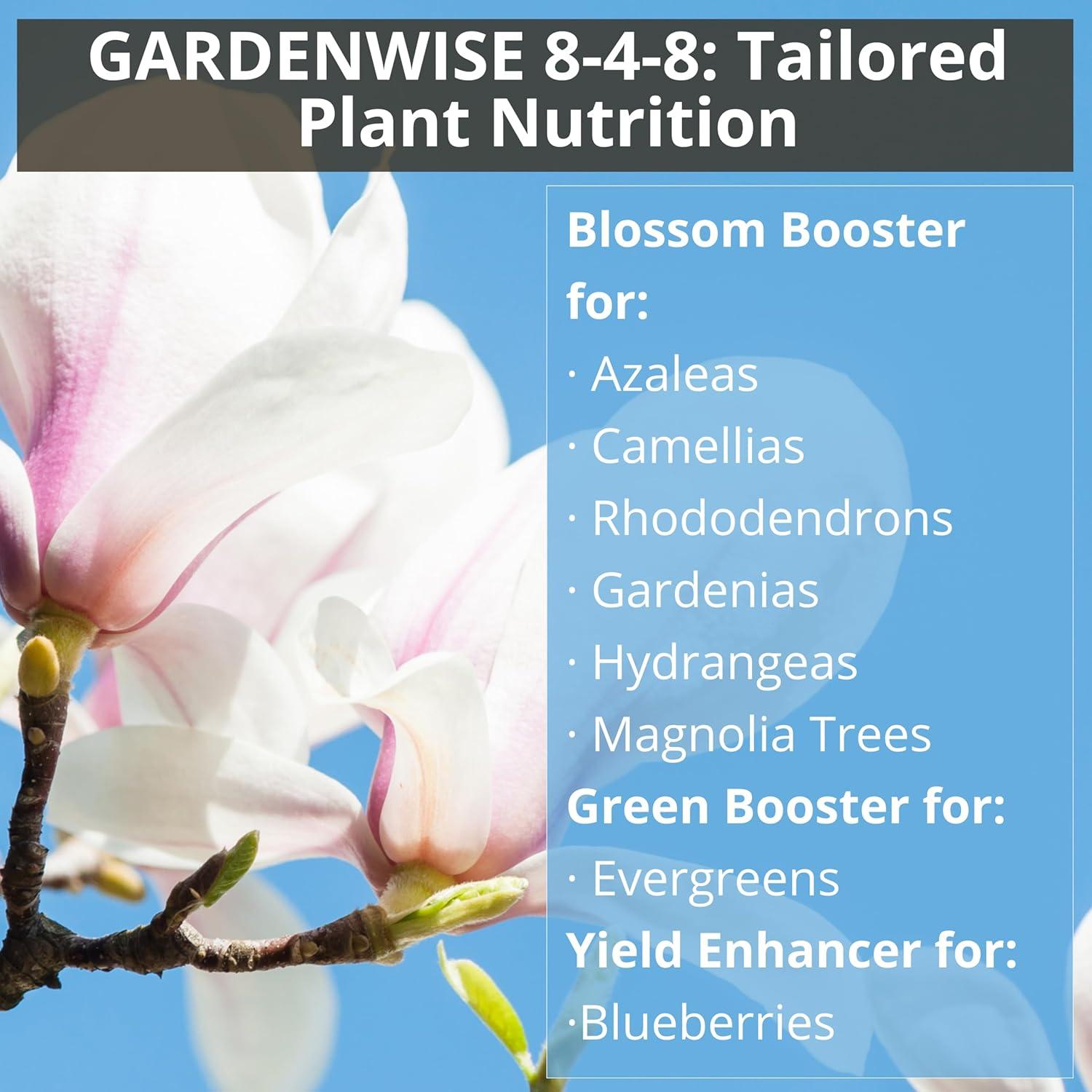 Fertilizante GardenWise 8-4-8 para Azaleas y Hortensias 340 g